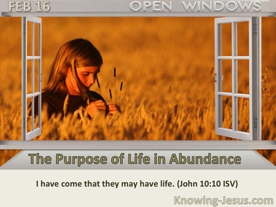 The Purpose of Life in Abundance